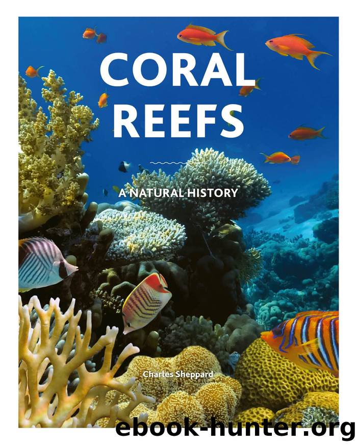 Coral Reefs by Russell Kelley