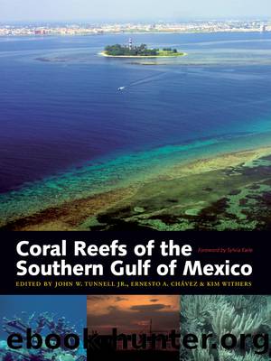 Coral Reefs of the Southern Gulf of Mexico by Tunnell John W.;Chávez Ernesto A.;Withers Kim;