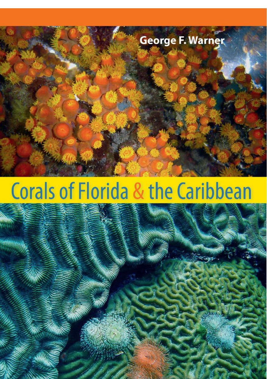 Corals of Florida and the Caribbean by George F. Warner
