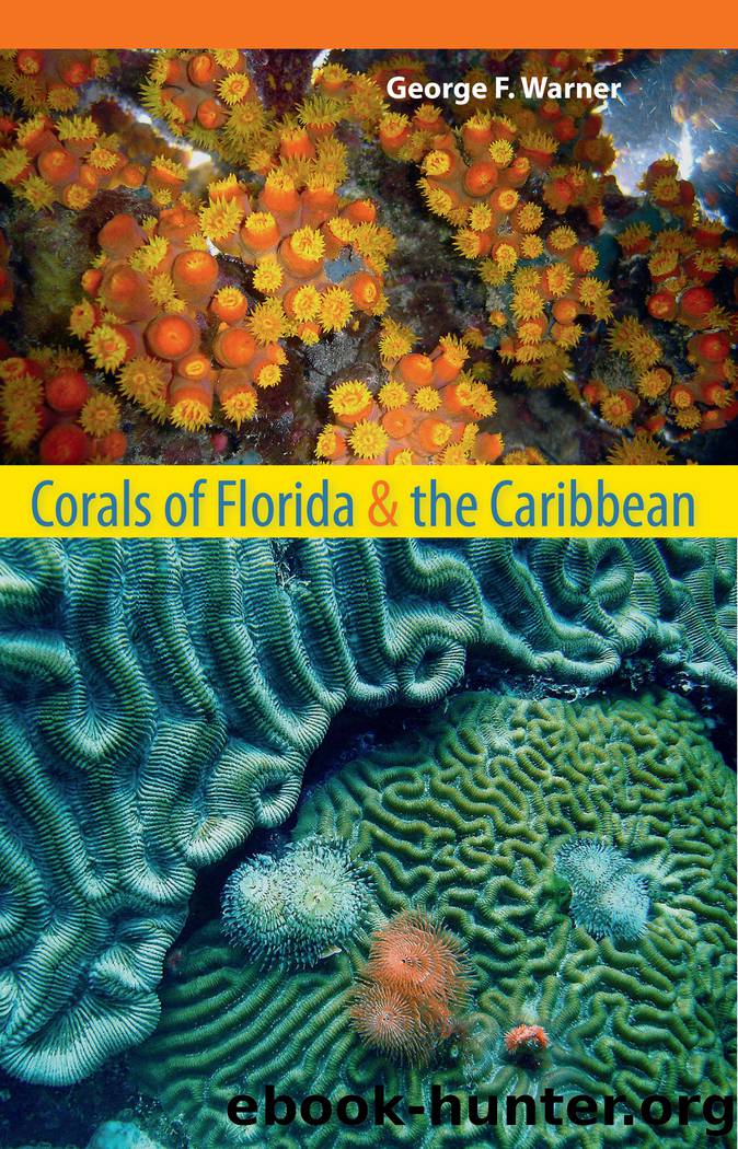 Corals of Florida and the Caribbean by Warner George F.;