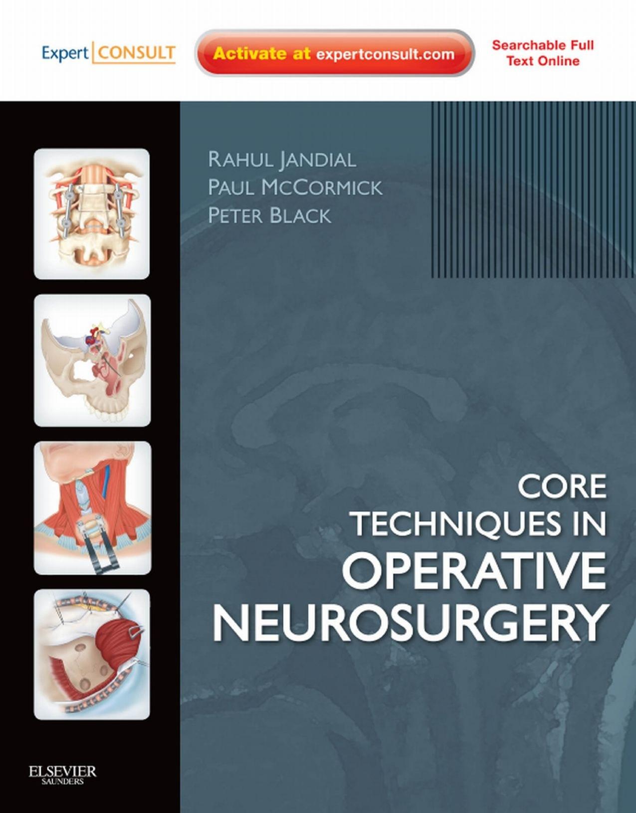 Core Techniques in Operative Neurosurgery V.2 by Jandial R. McCormick P