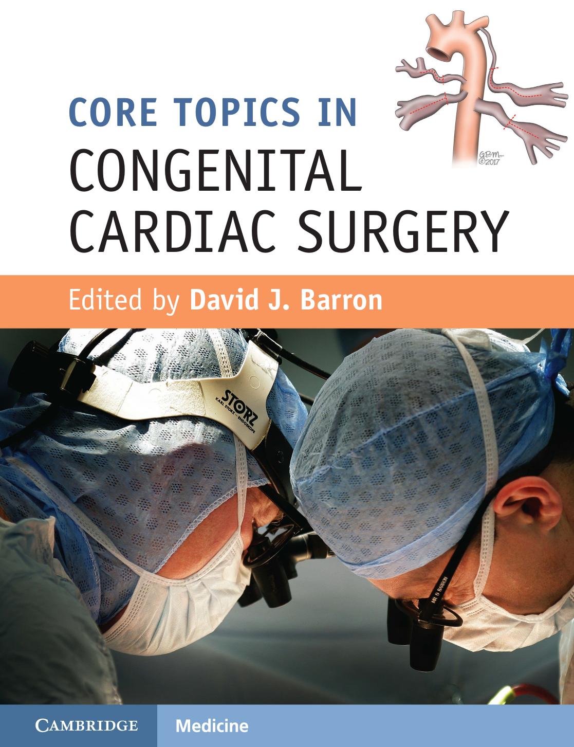 Core Topics in Congenital Cardiac Surgery by Unknow