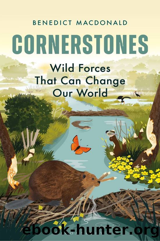 Cornerstones by Benedict Macdonald