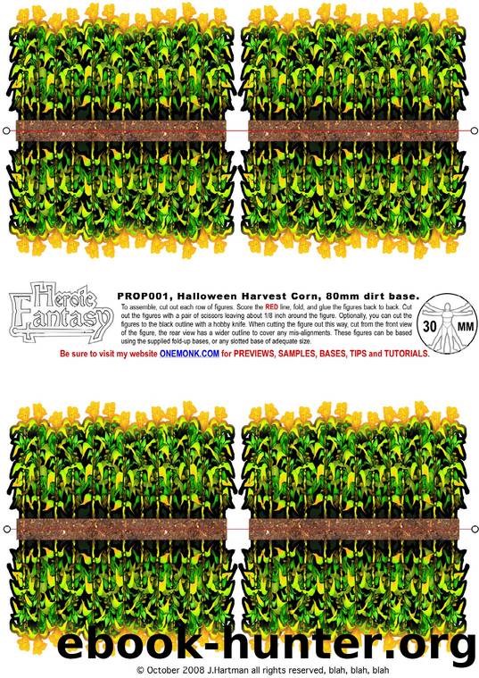 Cornfield by JIM