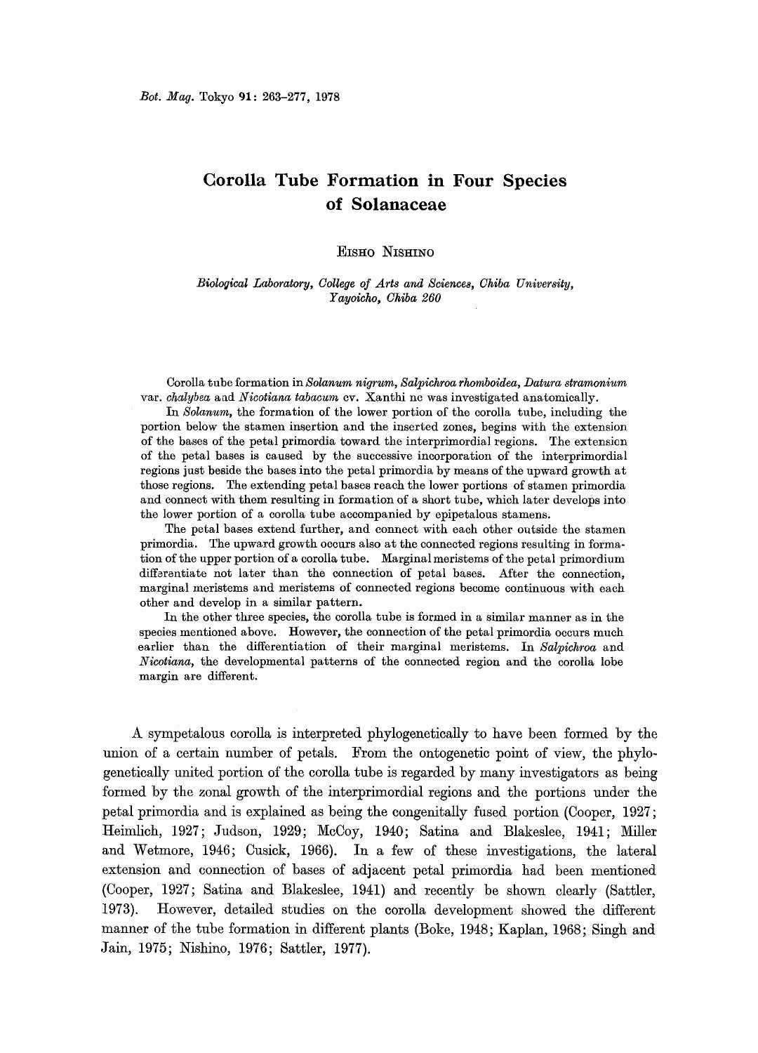 Corolla tube formation in four species of solanaceae by Unknown