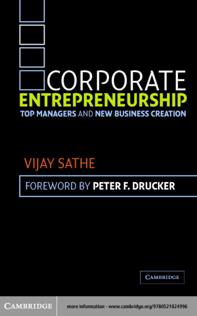 Corporate Entrepreneurship: Top Managers and New Business Creation by Vijay Sathe