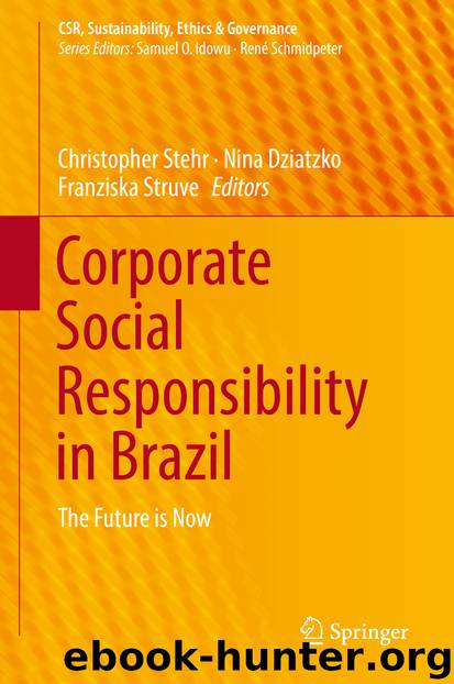 Corporate Social Responsibility in Brazil by Christopher Stehr & Nina Dziatzko & Franziska Struve