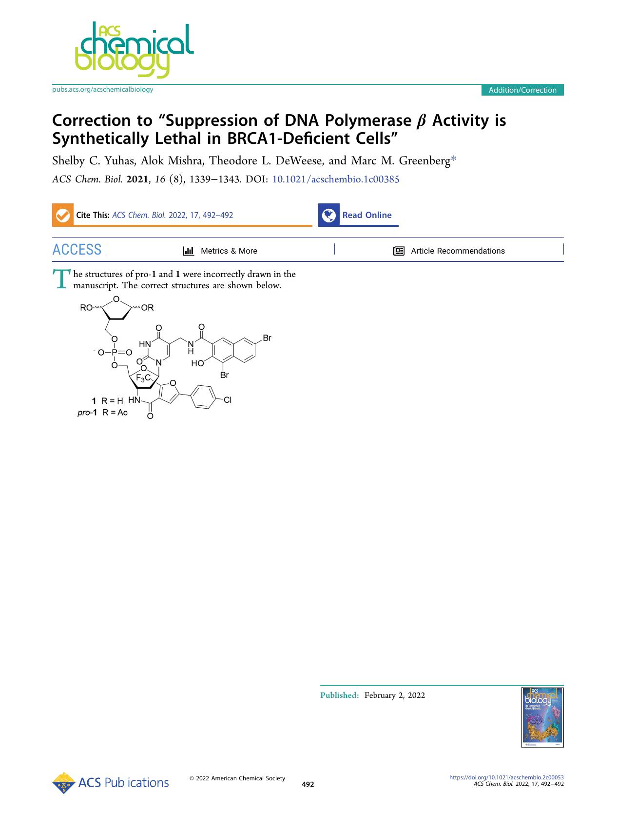 Correction to âSuppression of DNA Polymerase Î² Activity is Synthetically Lethal in BRCA1-Deficient Cellsâ by Shelby C. Yuhas Alok Mishra Theodore L. DeWeese and Marc M. Greenberg