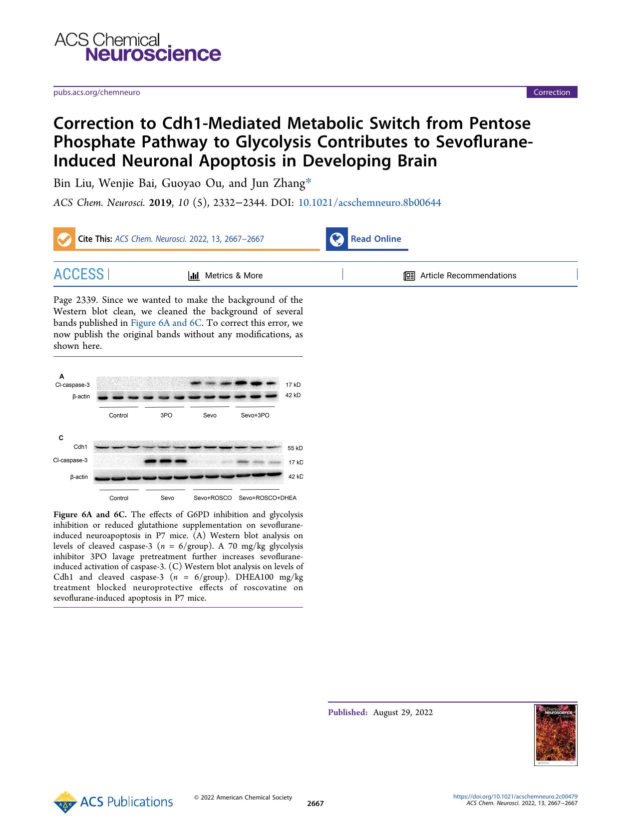 Correction to Cdh1-Mediated Metabolic Switch from Pentose Phosphate Pathway to Glycolysis Contributes to Sevoflurane-Induced Neuronal Apoptosis in Developing Brain by Bin Liu Wenjie Bai Guoyao Ou and Jun Zhang