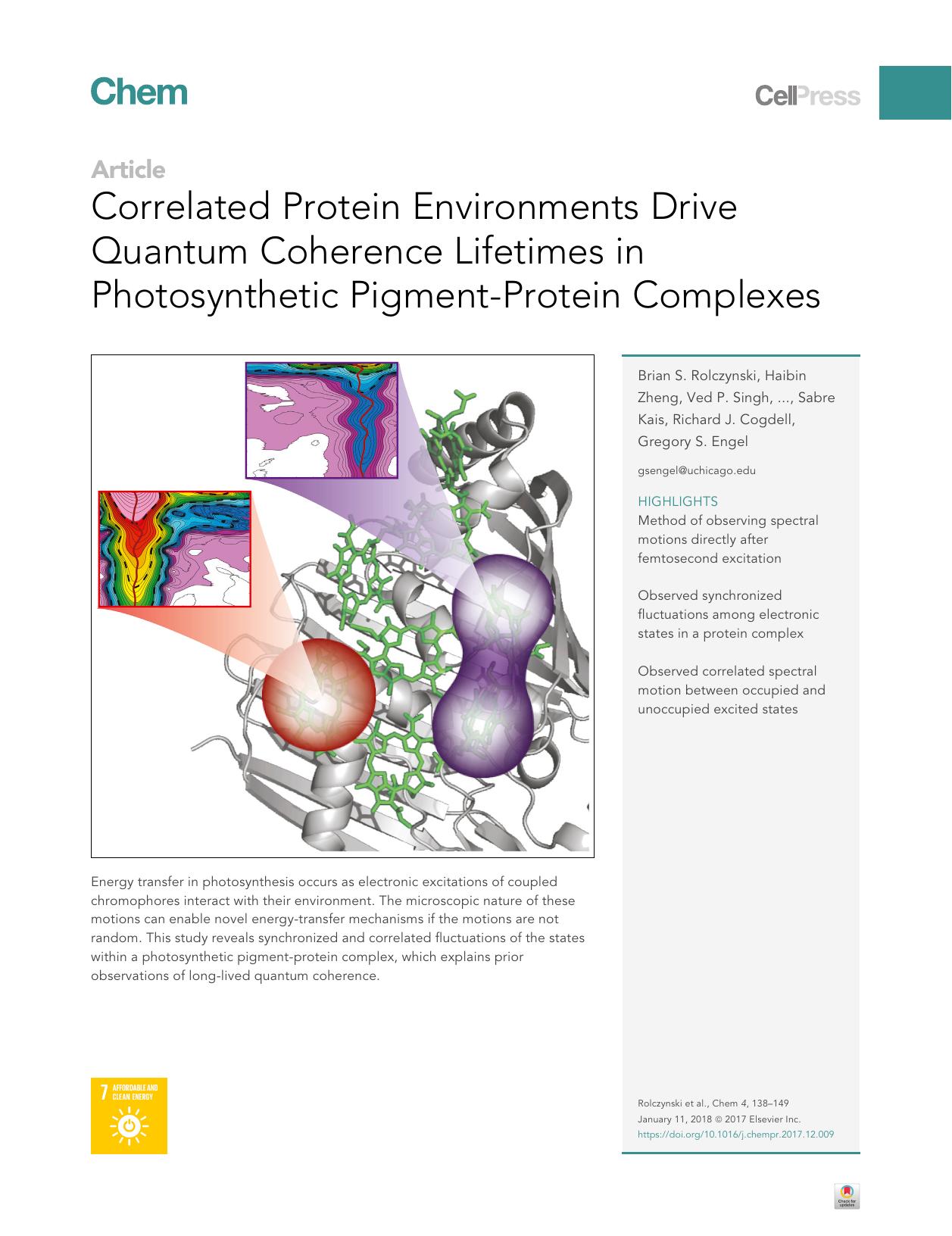 Correlated Protein Environments Drive Quantum Coherence Lifetimes in Photosynthetic Pigment-Protein Complexes by unknow
