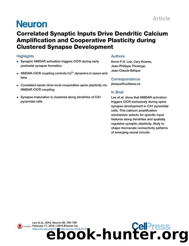 Correlated Synaptic Inputs Drive Dendritic Calcium Amplification and Cooperative Plasticity during Clustered Synapse Development by Kevin F.H. Lee & Cary Soares & Jean-Philippe Thivierge & Jean-Claude Béïque