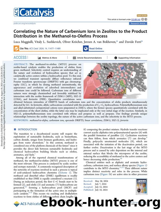Correlating the Nature of Carbenium Ions in Zeolites to the Product Distribution in the Methanol-to-Olefins Process by Luca Maggiulli Vitaly L. Sushkevich Oliver Kröcher Jeroen A. van Bokhoven & Davide Ferri