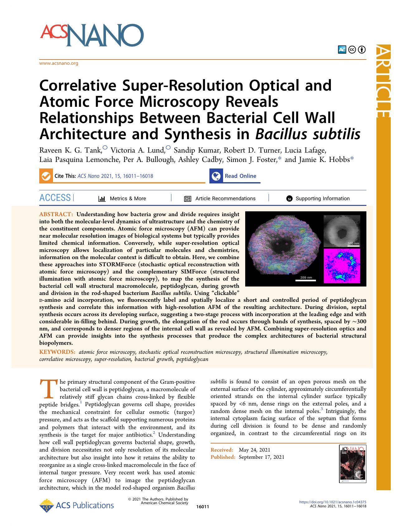 Correlative Super-Resolution Optical and Atomic Force Microscopy Reveals Relationships Between Bacterial Cell Wall Architecture and Synthesis in Bacillus subtilis by unknow