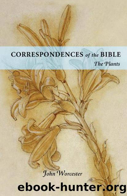 Correspondences of the Bible : Plants: the Plants by JOHN WORCESTER