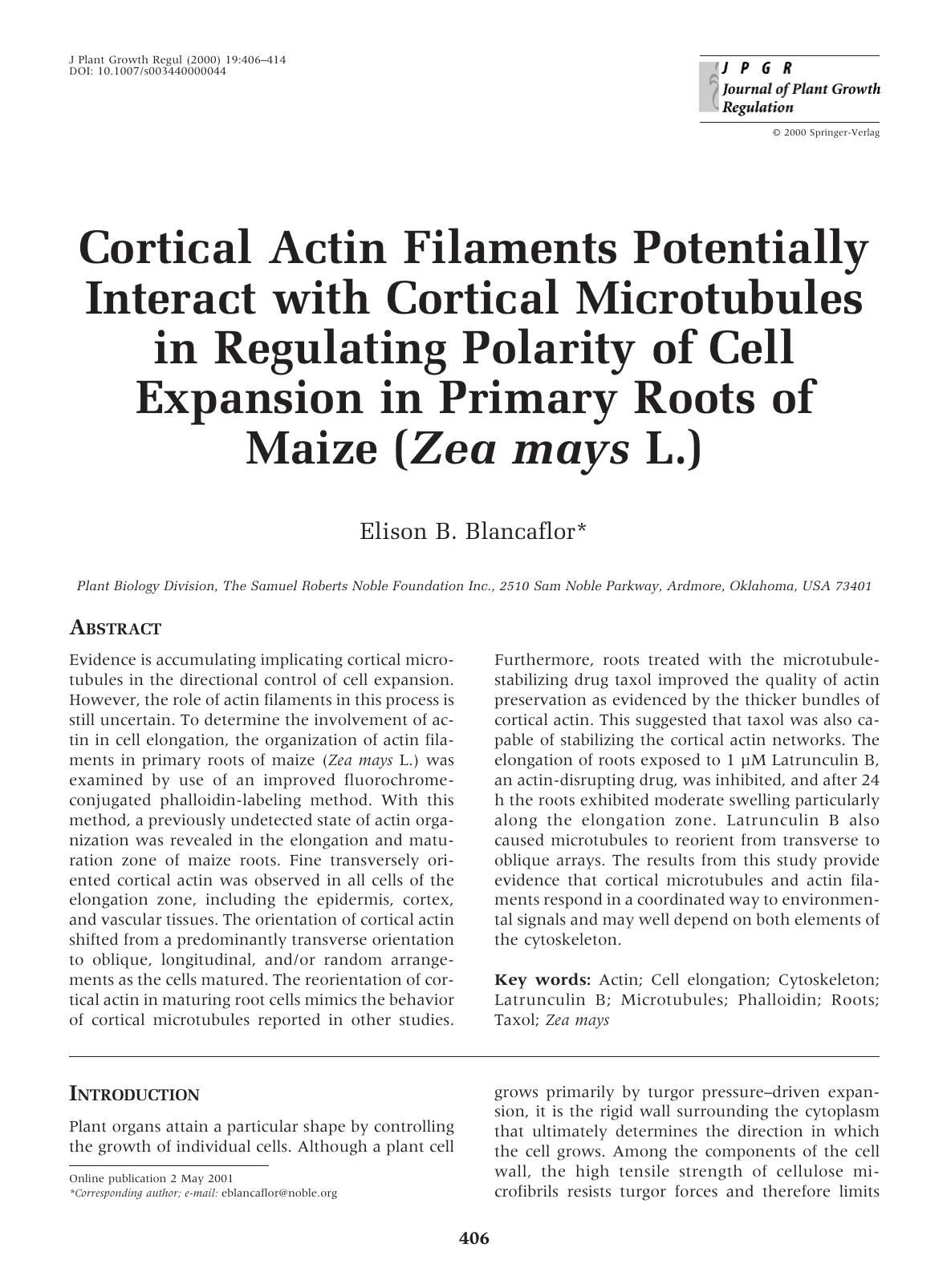 Cortical Actin Filaments Potentially Interact with Cortical Microtubules in Regulating Polarity of Cell Expansion in Primary Roots of Maize (Zea mays L.) by Blancaflor E