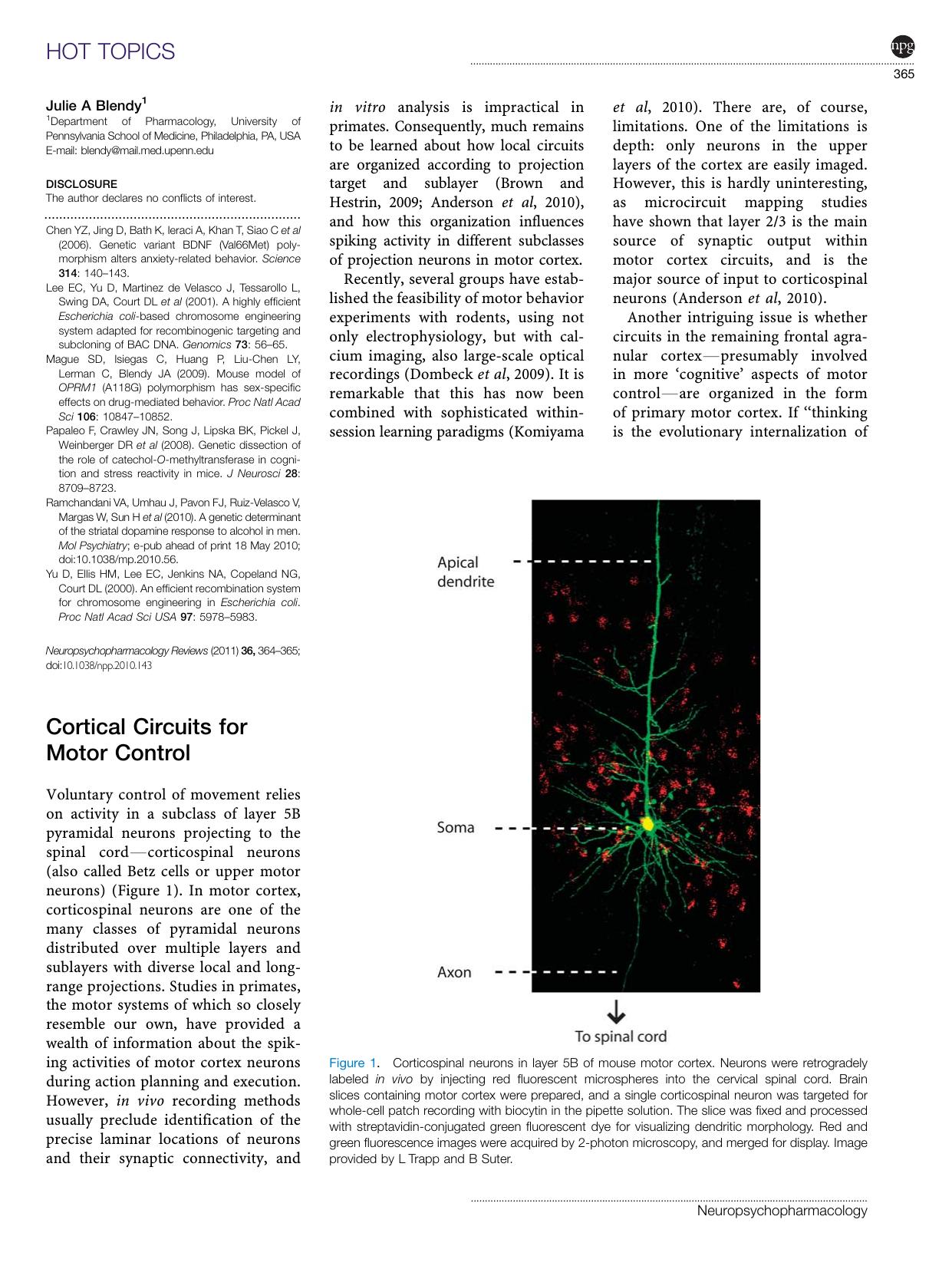 Cortical Circuits for Motor Control by Patrick L Sheets & Gordon MG Shepherd