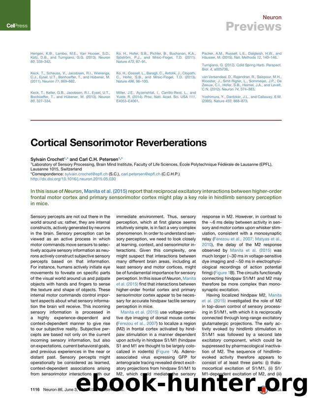 Cortical Sensorimotor Reverberations by Sylvain Crochet & Carl C.H. Petersen