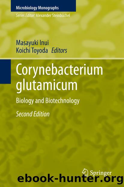 Corynebacterium glutamicum by Unknown