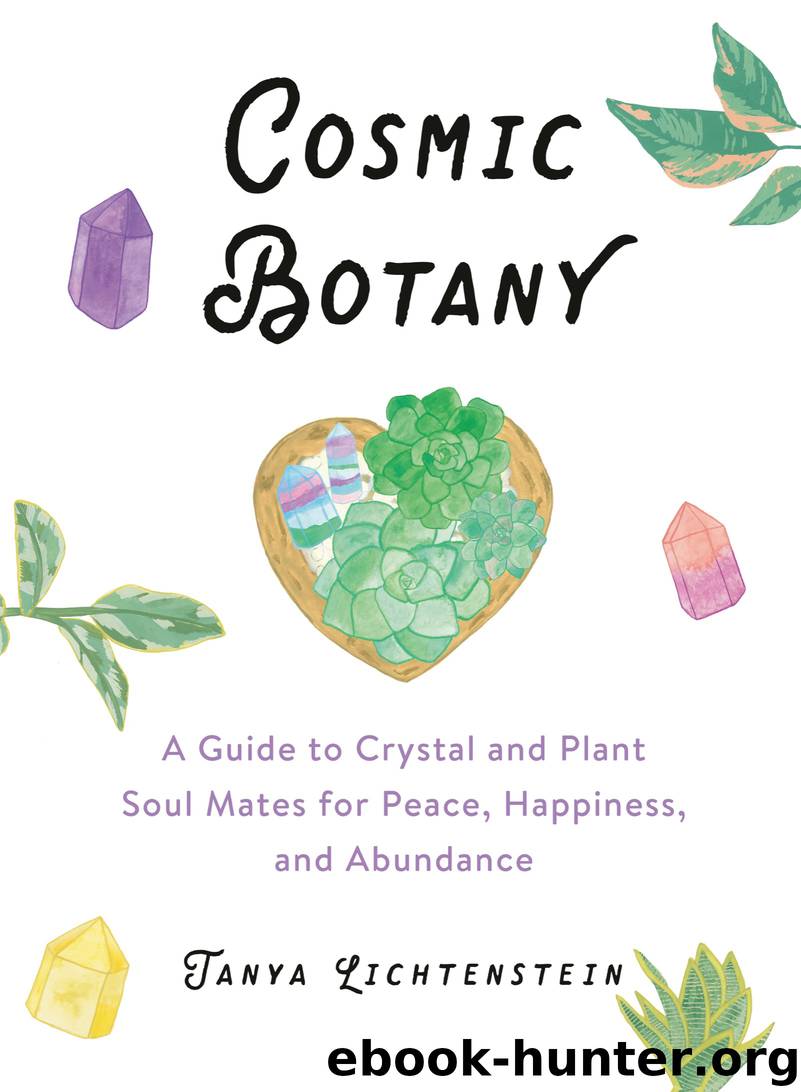 Cosmic Botany by Tanya Lichtenstein