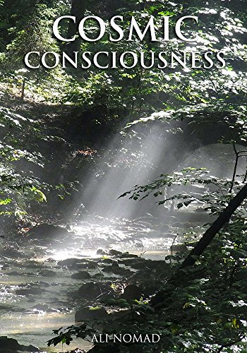 Cosmic Consciousness by Alexander J. McIvor-Tyndall