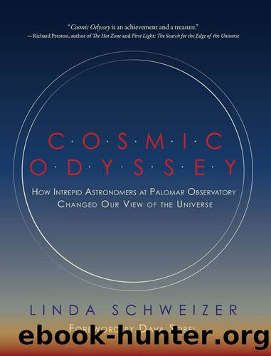 Cosmic Odyssey by Linda Schweizer