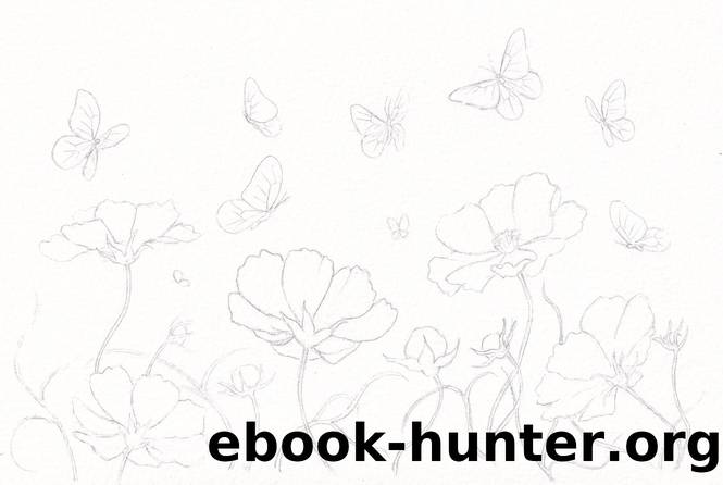 Cosmos Garden and Butterflies by Unknown
