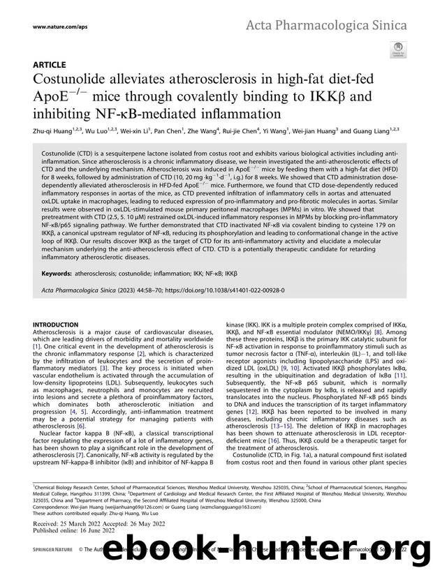 Costunolide alleviates atherosclerosis in high-fat diet-fed ApoEÃ¢ËâÃ¢Ëâ mice through covalently binding to IKKÃÂ² and inhibiting NF-ÃÂºB-mediated inflammation by unknow