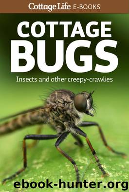 Cottage Bugs by Cottage Life