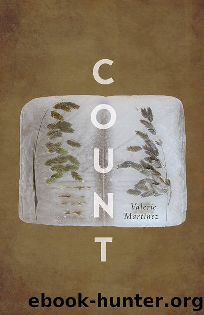 Count by Valerie Martínez