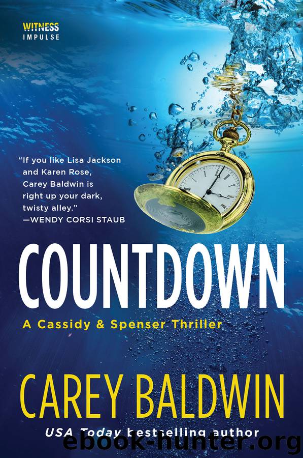 Countdown by Carey Baldwin