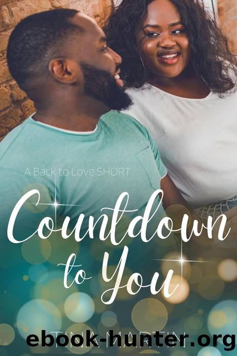 Countdown to You by Tina Martin