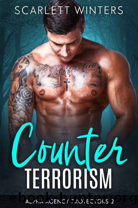 Counter Terrorism by Scarlett Winters