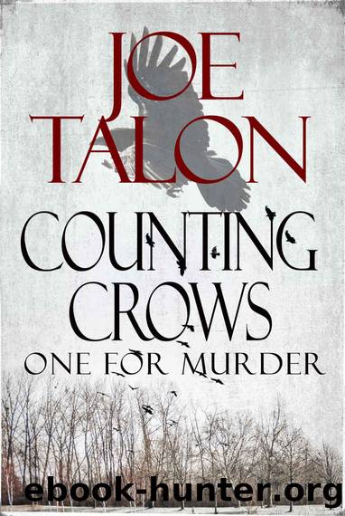 Counting Crows: One For Murder (Lorne Turner Mystery Thrillers Book 1) by Joe Talon