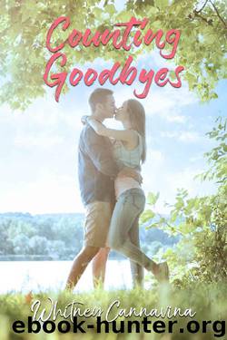 Counting Goodbyes by Whitney Cannavina
