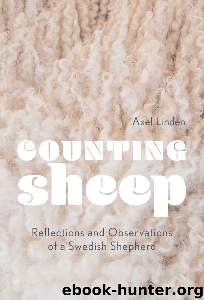 Counting Sheep by Axel Lindén
