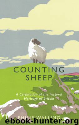 Counting Sheep by Philip Walling