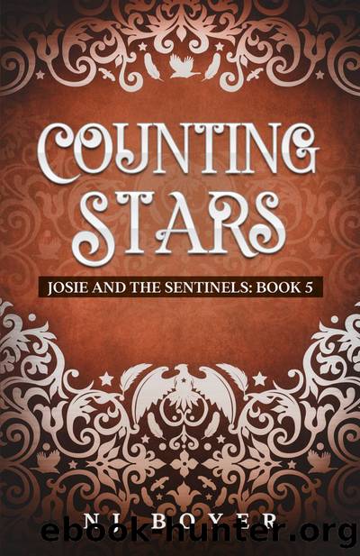 Counting Stars by NJ Boyer