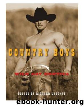 Country Boys by Richard Labonte
