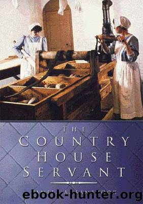 Country House Servant by Pamela A Sambrook