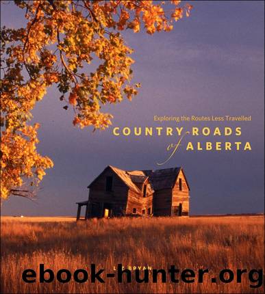 Country Roads of Alberta by Liz Bryan