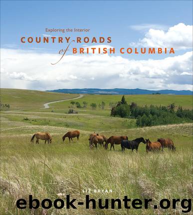 Country Roads of British Columbia by Liz Bryan