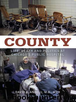 County by David Ansell