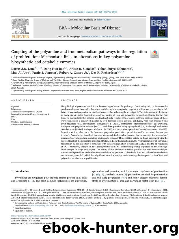 Coupling of the polyamine and iron metabolism pathways in the regulation of proliferation_ Mechanistic links to alterations in key polyamine biosynthetic and catabolic enzymes by unknow