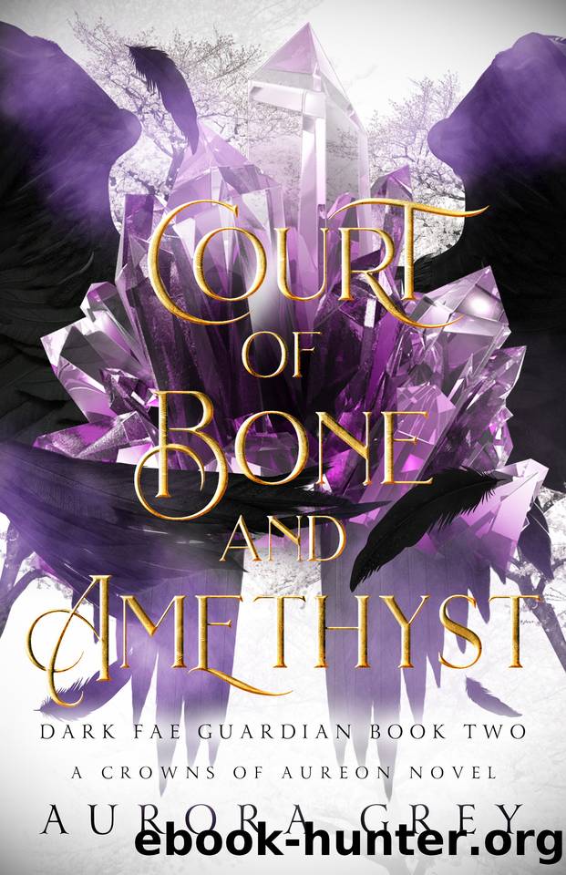 Court of Bone and Amethyst: A Shadow Guardian Fantasy Romance (Dark Fae Guardian Book 2) by Aurora Grey
