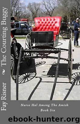 Courting Buggy: Nurse Hal Among The Amish by Risner Fay