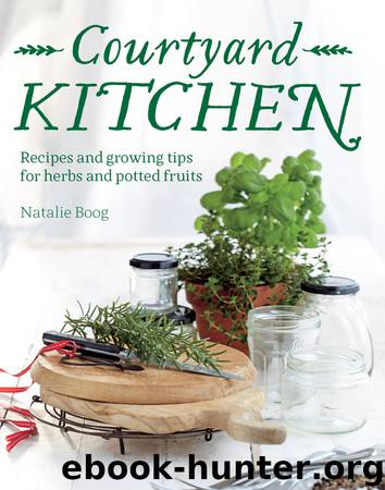 Courtyard Kitchen by Natalie Boog