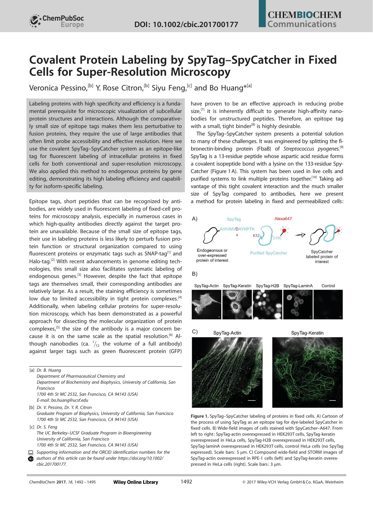 Covalent Protein Labeling by SpyTagâSpyCatcher in Fixed Cells for SuperâResolution Microscopy by Unknown