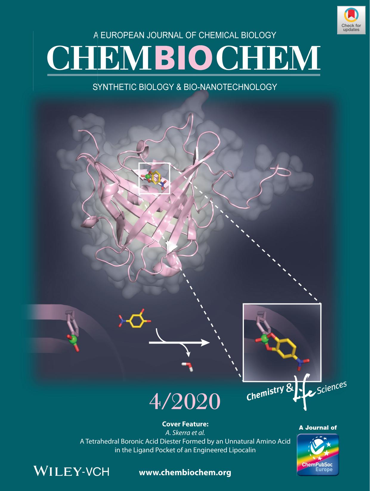 Cover Feature: A Tetrahedral Boronic Acid Diester Formed by an Unnatural Amino Acid in the Ligand Pocket of an Engineered Lipocalin (ChemBioChem 42020) by Unknown