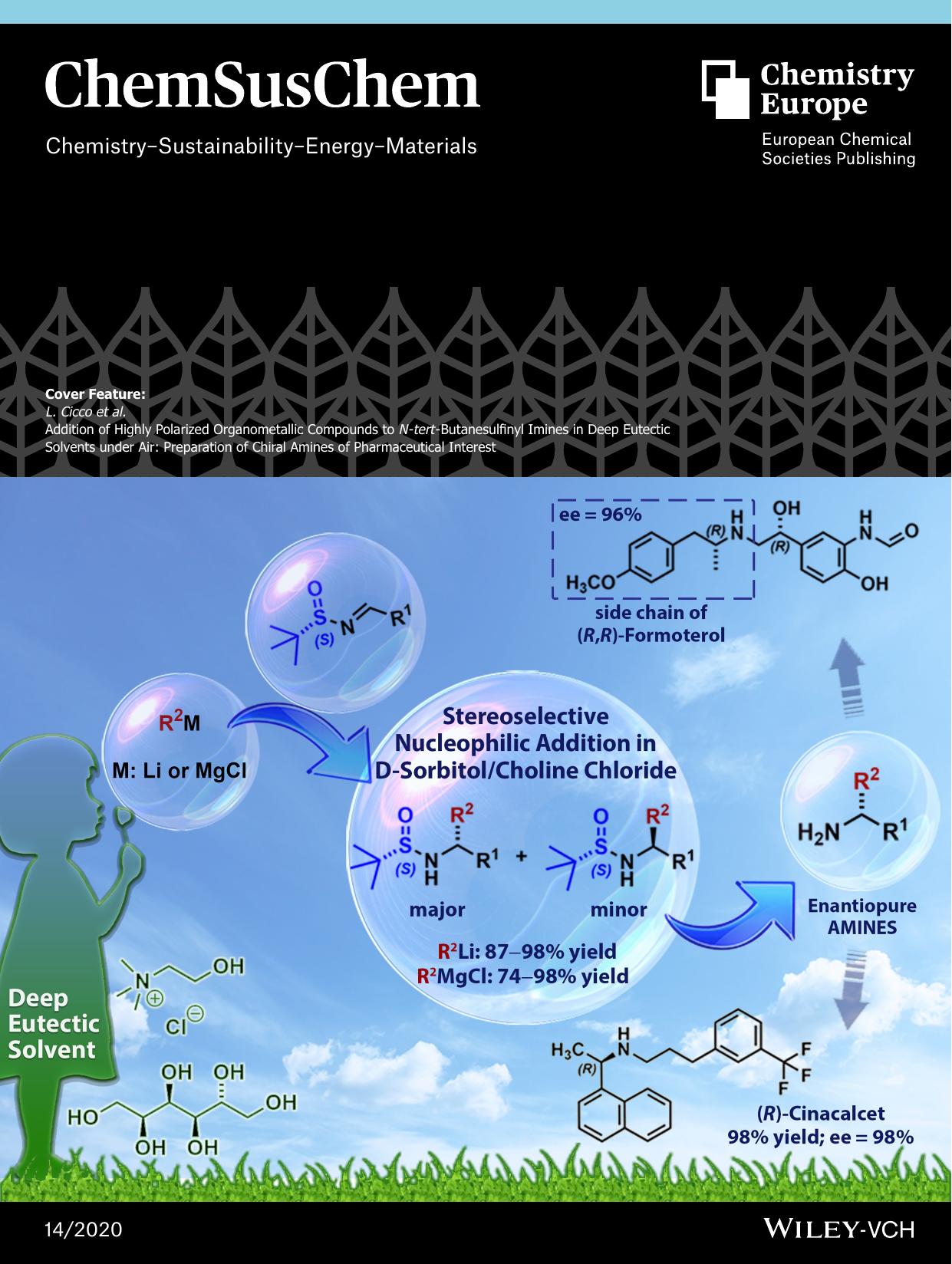 Cover Feature: Addition of Highly Polarized Organometallic Compounds to NâtertâButanesulfinyl Imines in Deep Eutectic Solvents under Air: Preparation of Chiral Amines of Pharma by Unknown