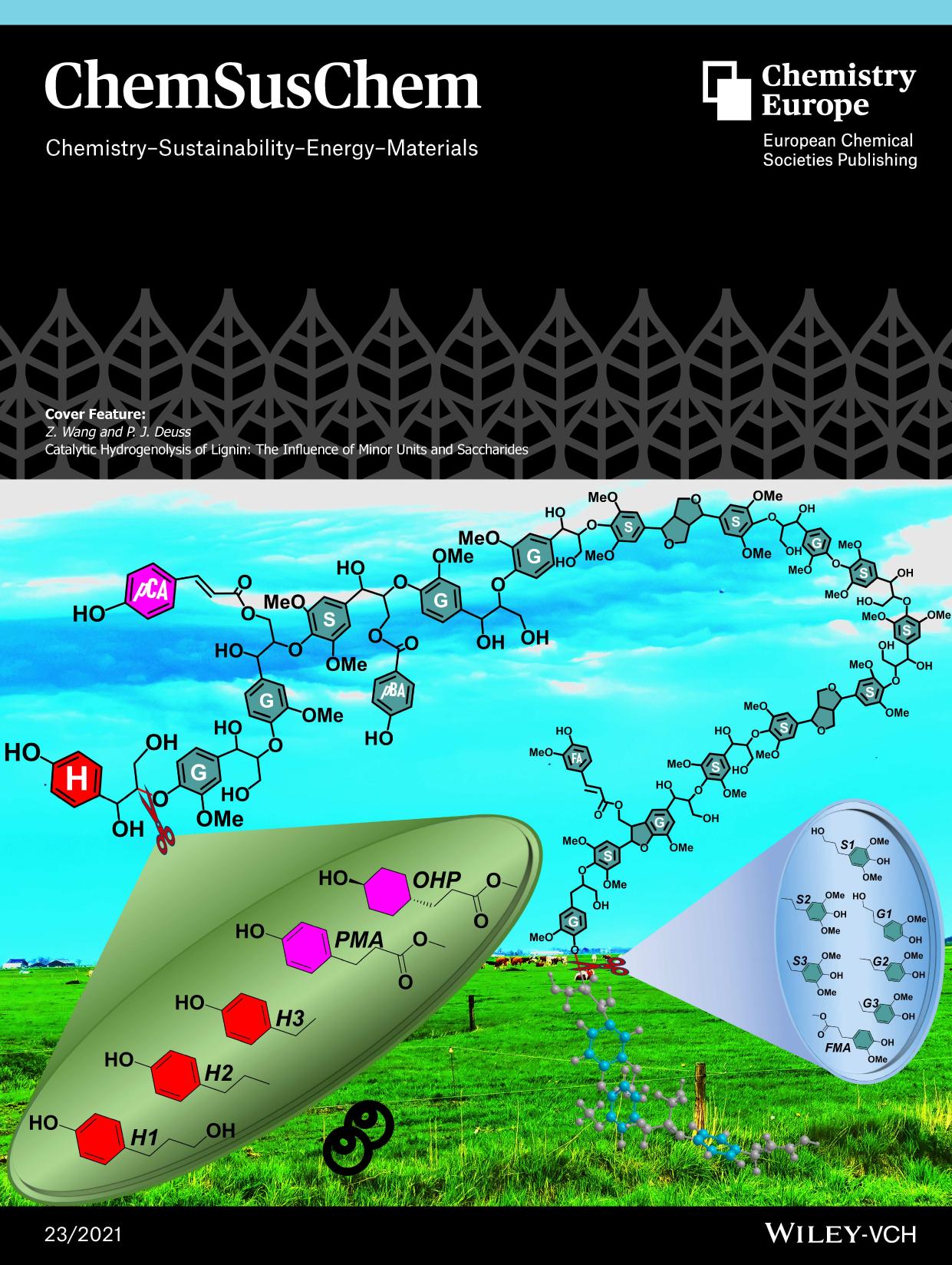 Cover Feature: Catalytic Hydrogenolysis of Lignin: The Influence of Minor Units and Saccharides (ChemSusChem 232021) by Unknown